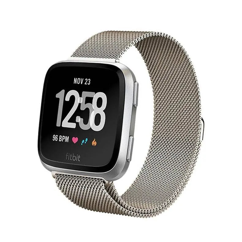 Fitbit Versa 2 Premium Stainless Steel Mesh Band - Pinnacle Luxuries